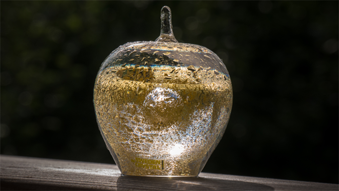 Bild som visar Guldäpplet - ett glasäpple i guldfärg. Bild som visar Guldäpplet - ett glasäpple i guldfärg.